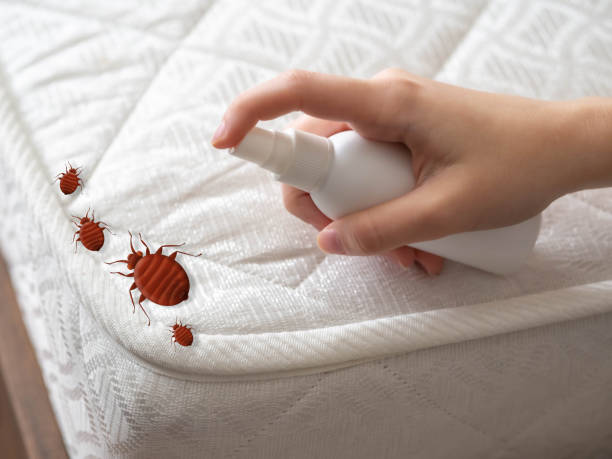 Best Residential Pest Control  in Thomasville, GA